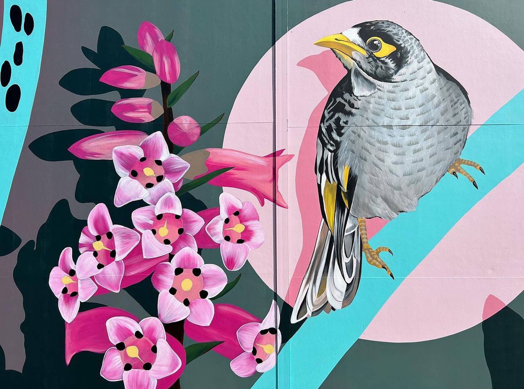 Melanie Caple&mdash;Noisy Miner and Common Heath