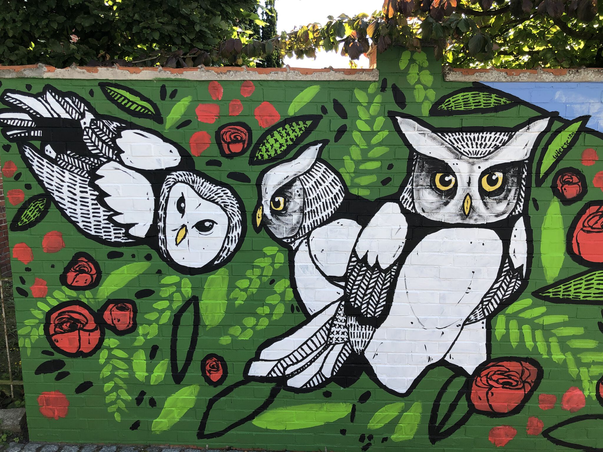 Wietse&mdash;Owls