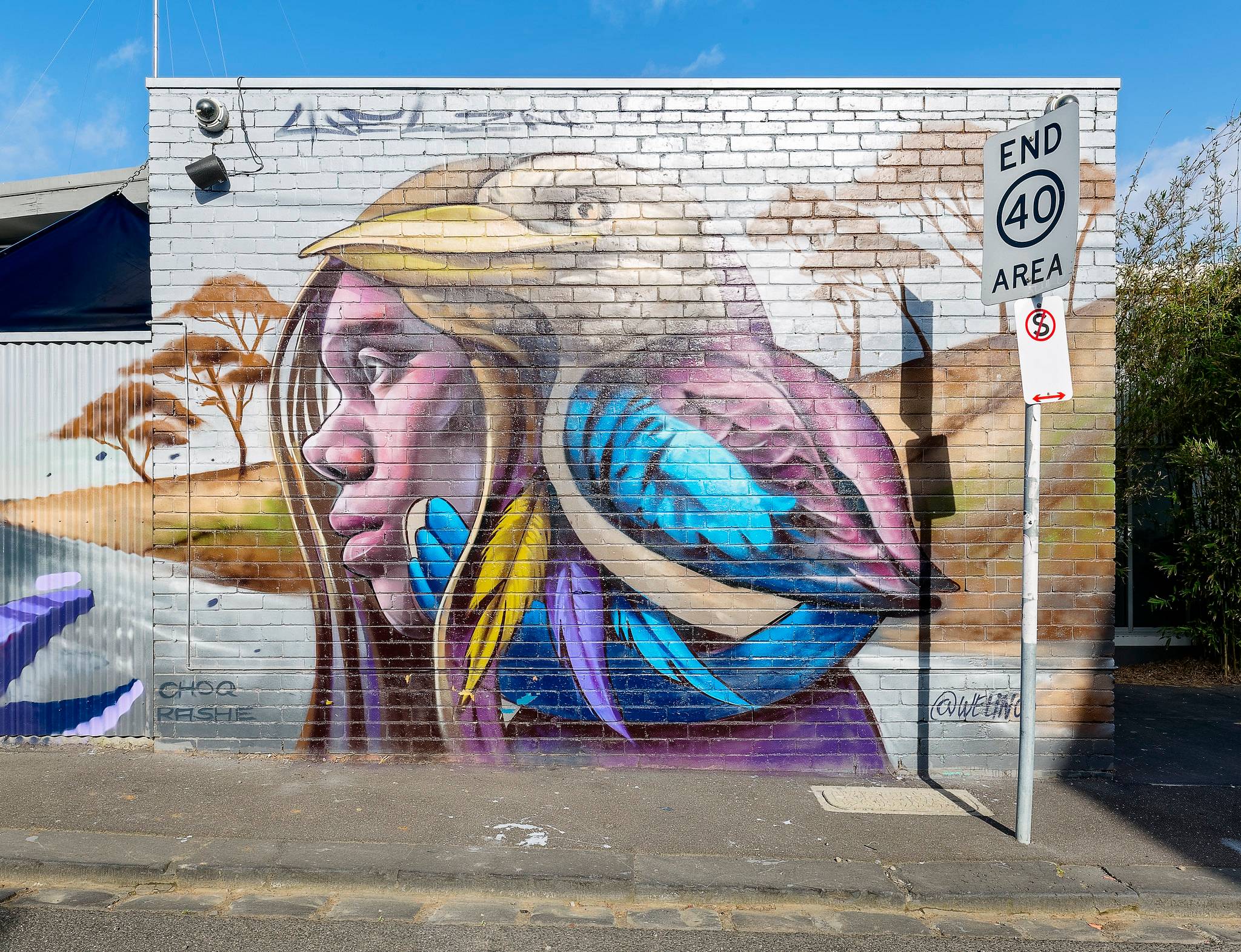 Welin&mdash;Fitzroy Veterinary Clinic