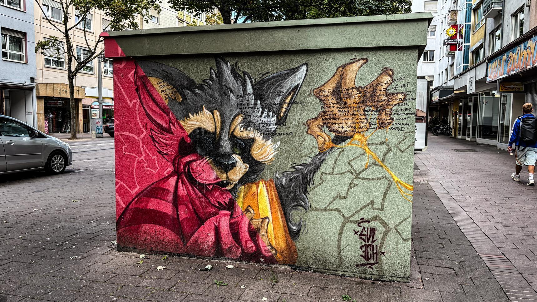 Svlech—Waschbären in der Stadt
