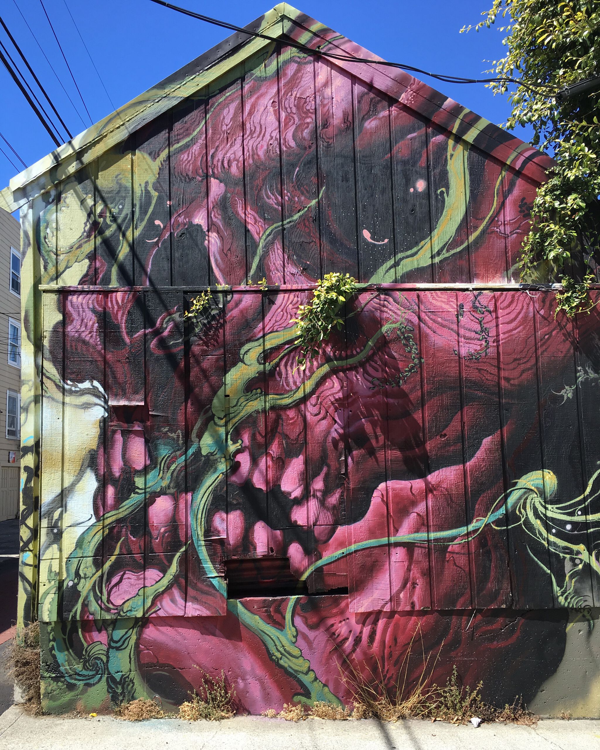 Unknown - San Francisco&mdash;Alleyways along 24th Street