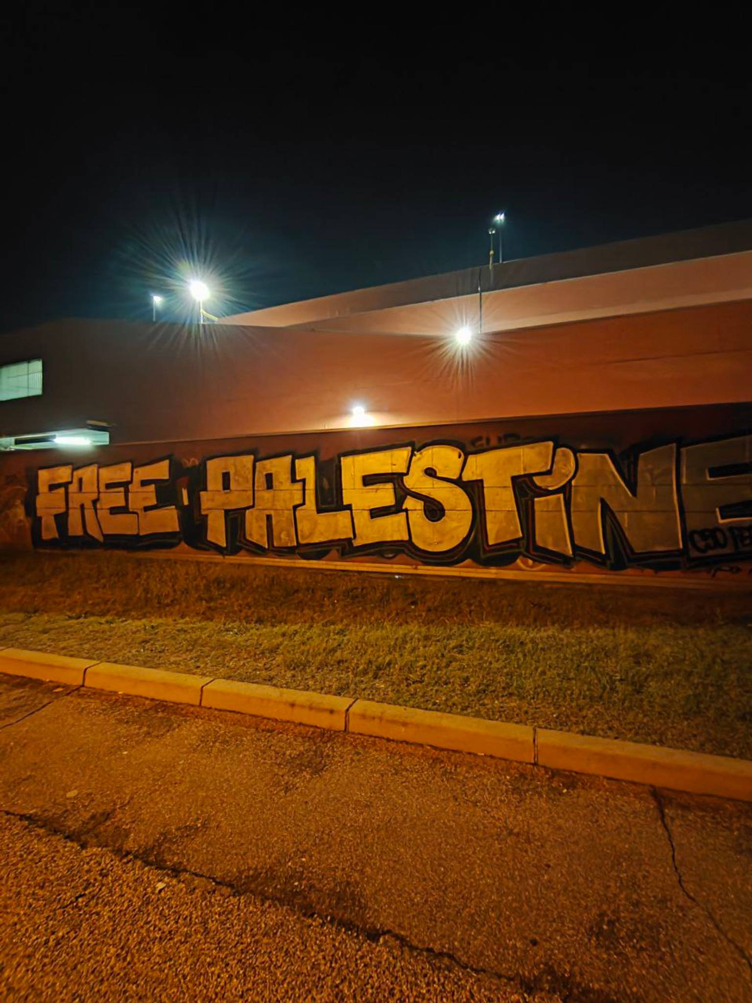 CSO pedro&mdash;Free palestine