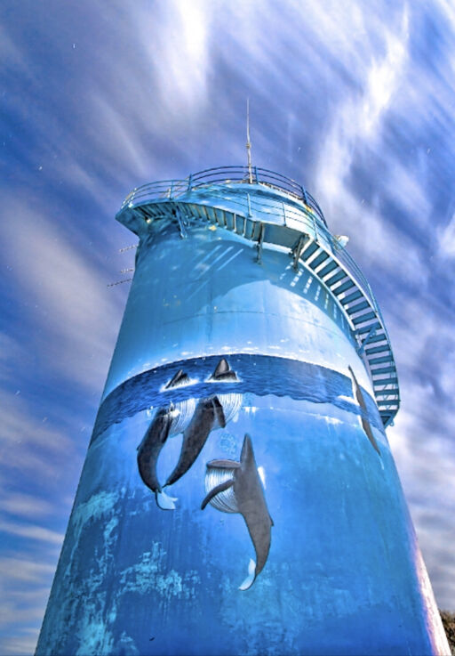 Woolgoolga Water Tower Art