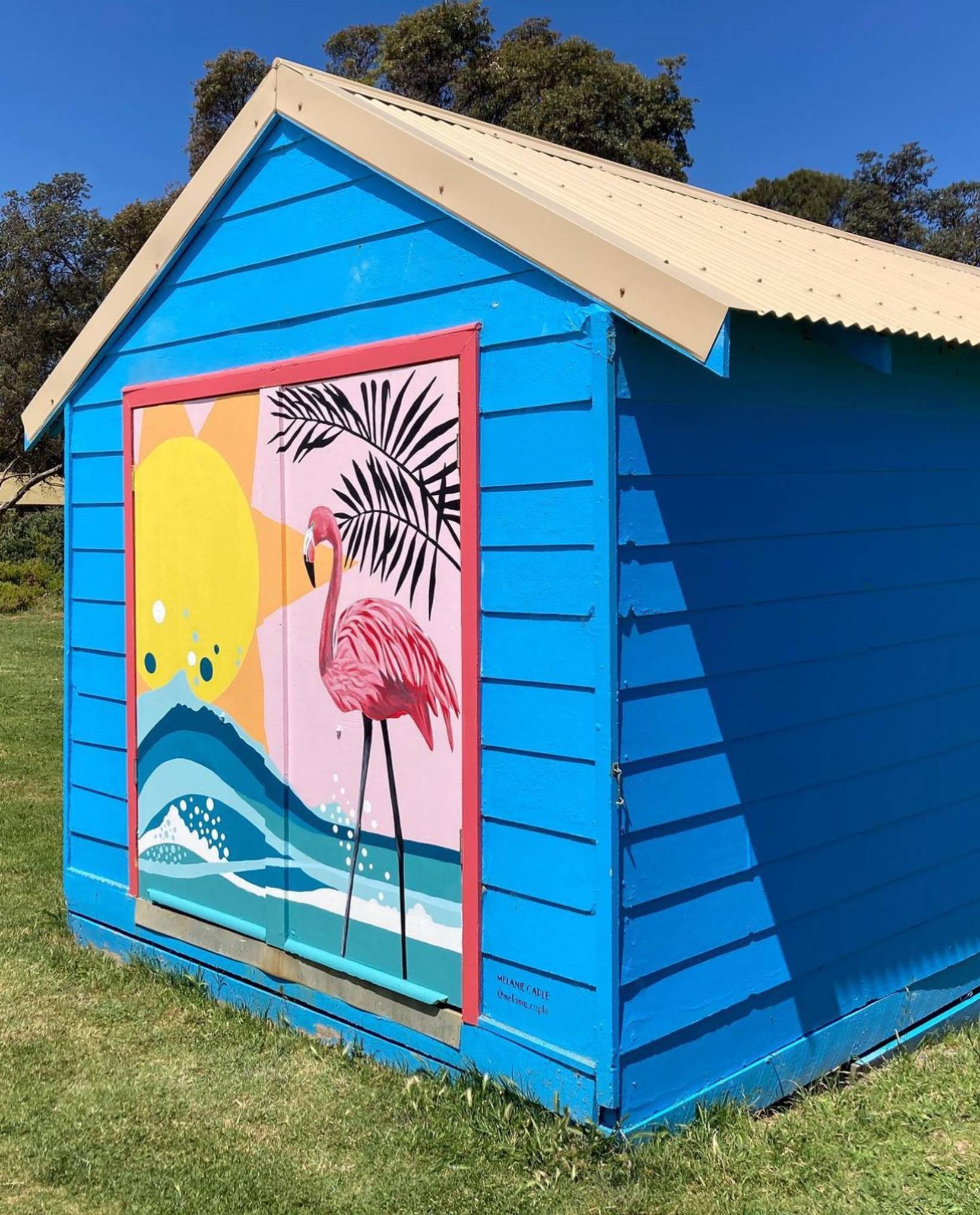 Melanie Caple&mdash;Dromana Flamingo