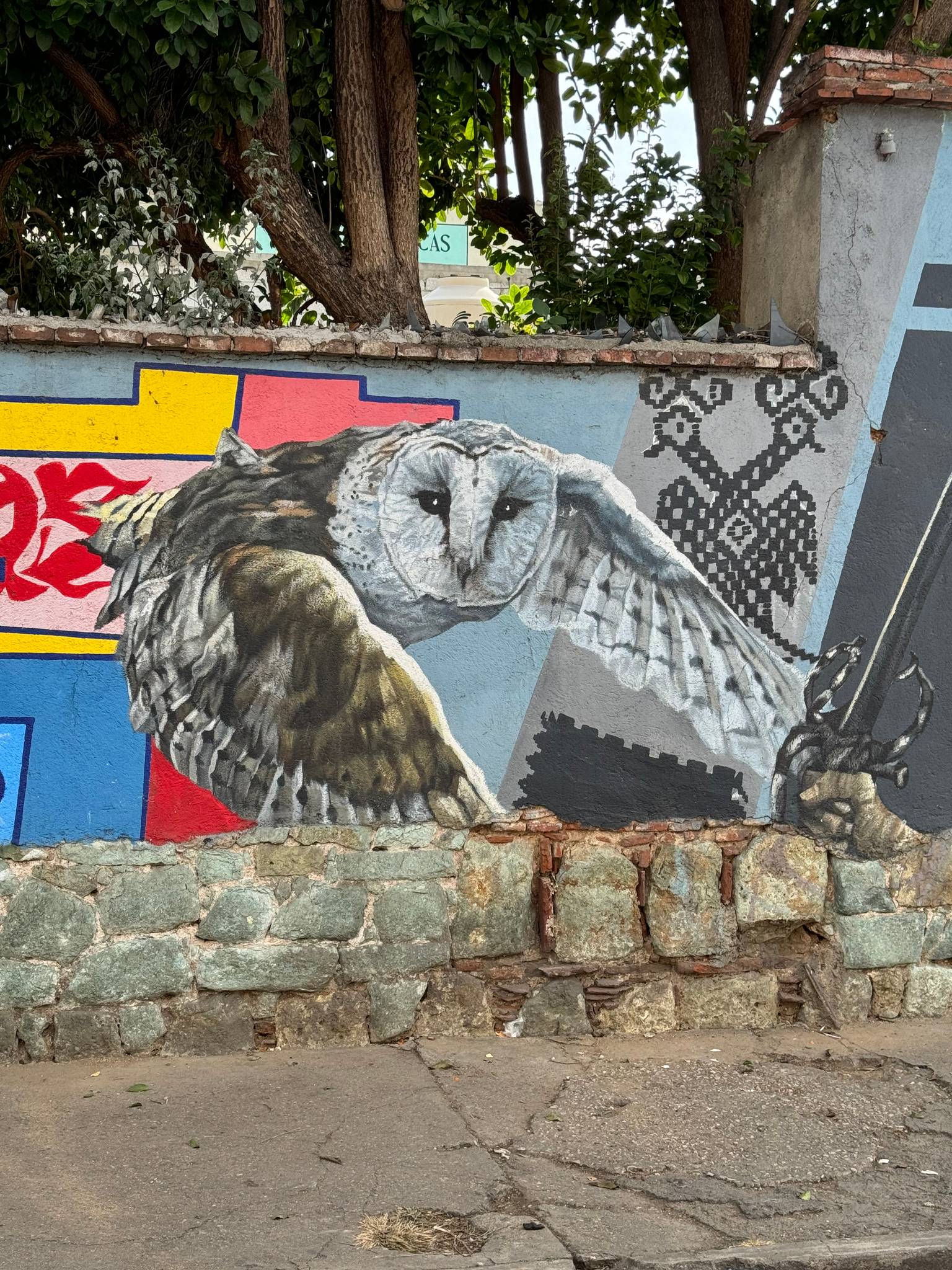 Unknown - Oaxaca&mdash;Owl