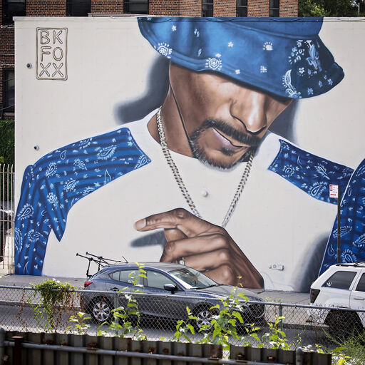 Snoop Dogg by bkfoxx - Street Art Cities