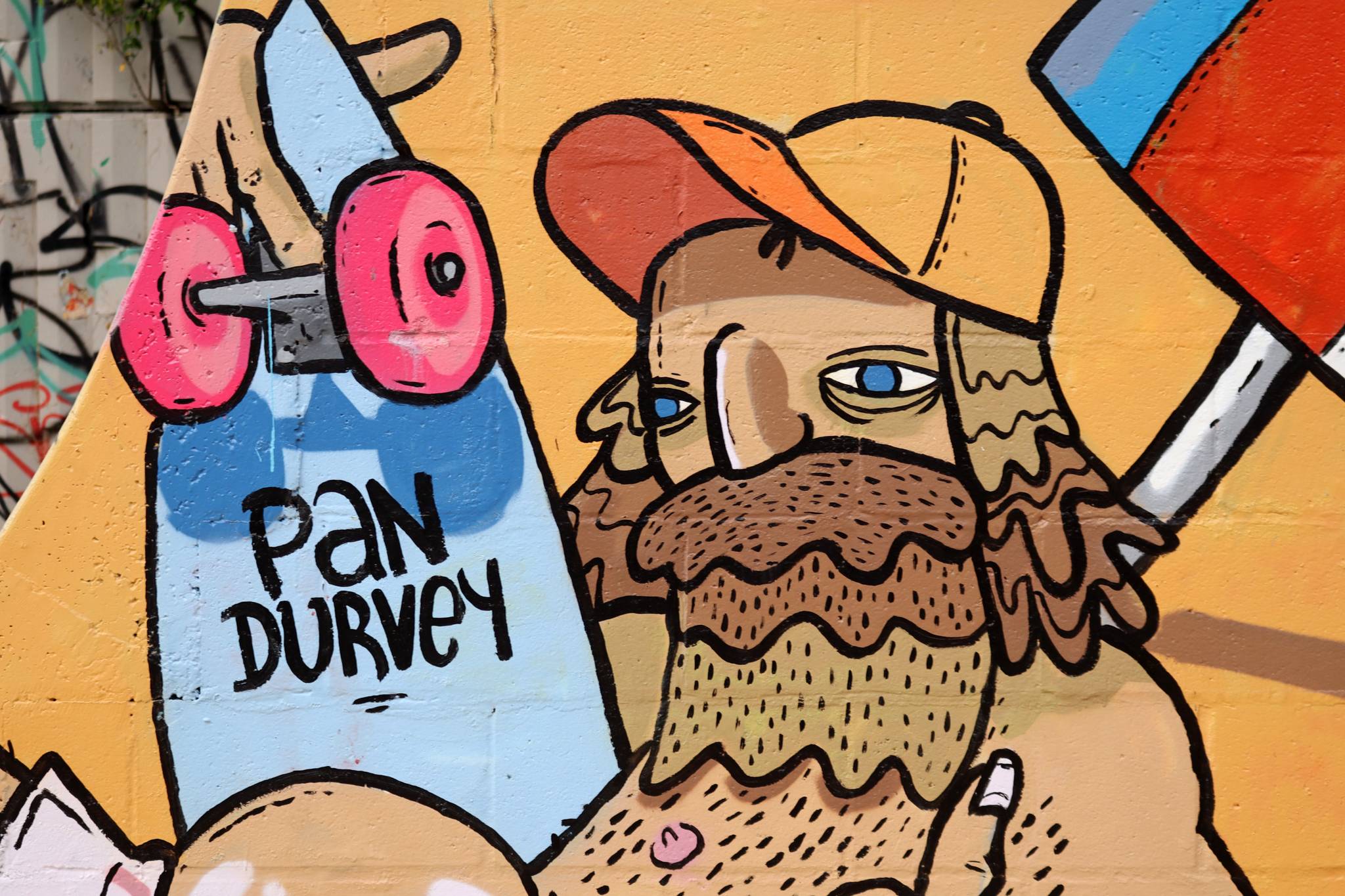 Pan Durvey&mdash;Surfs Up Dude