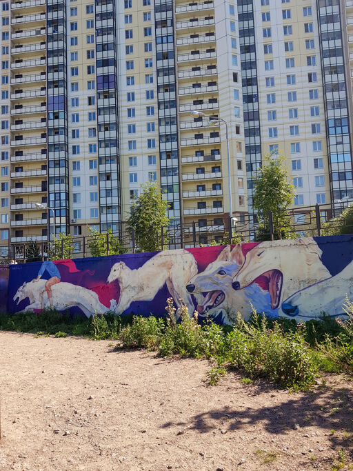 Dog playground