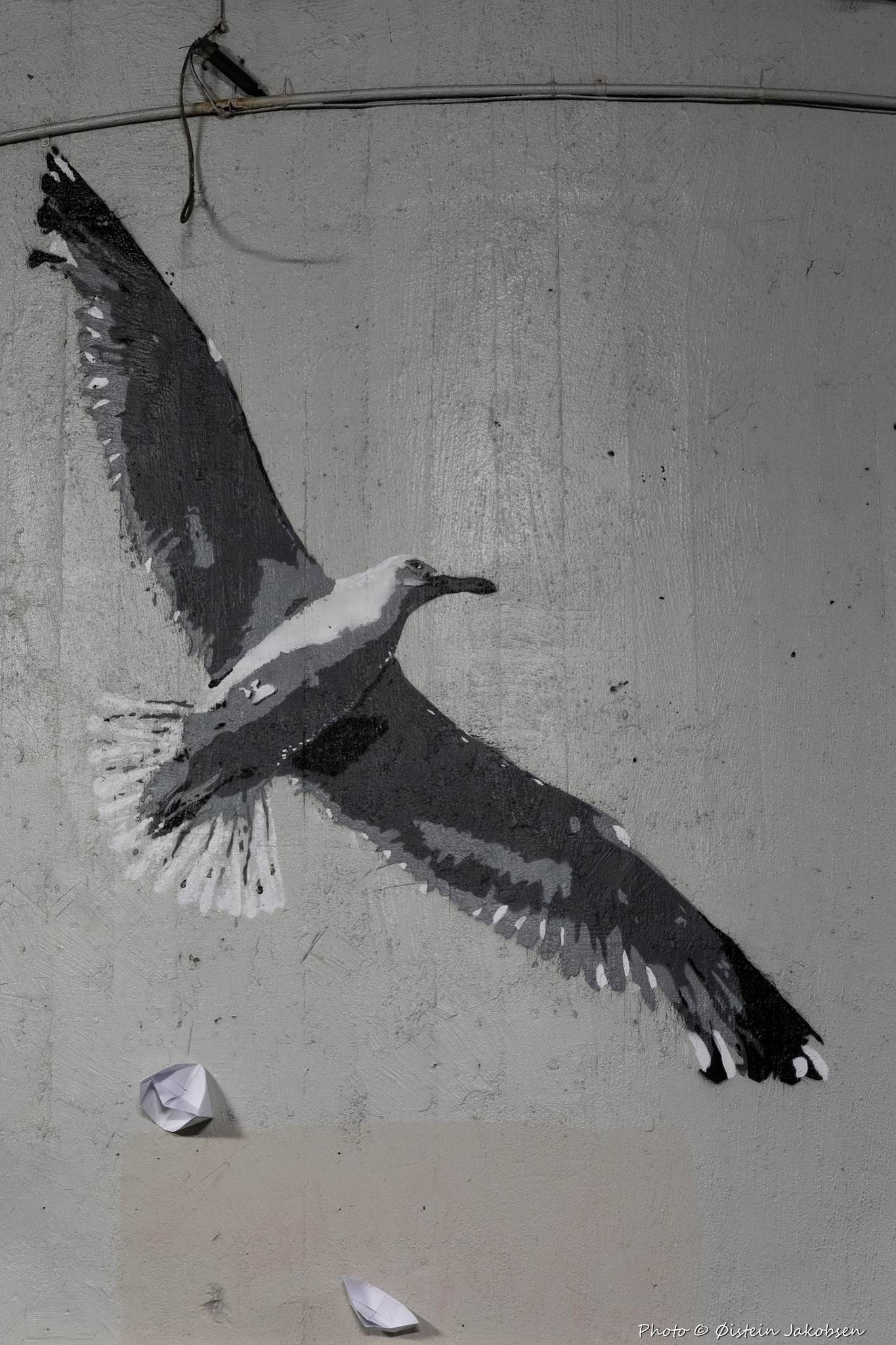 RIP_streetart&mdash;Albatros