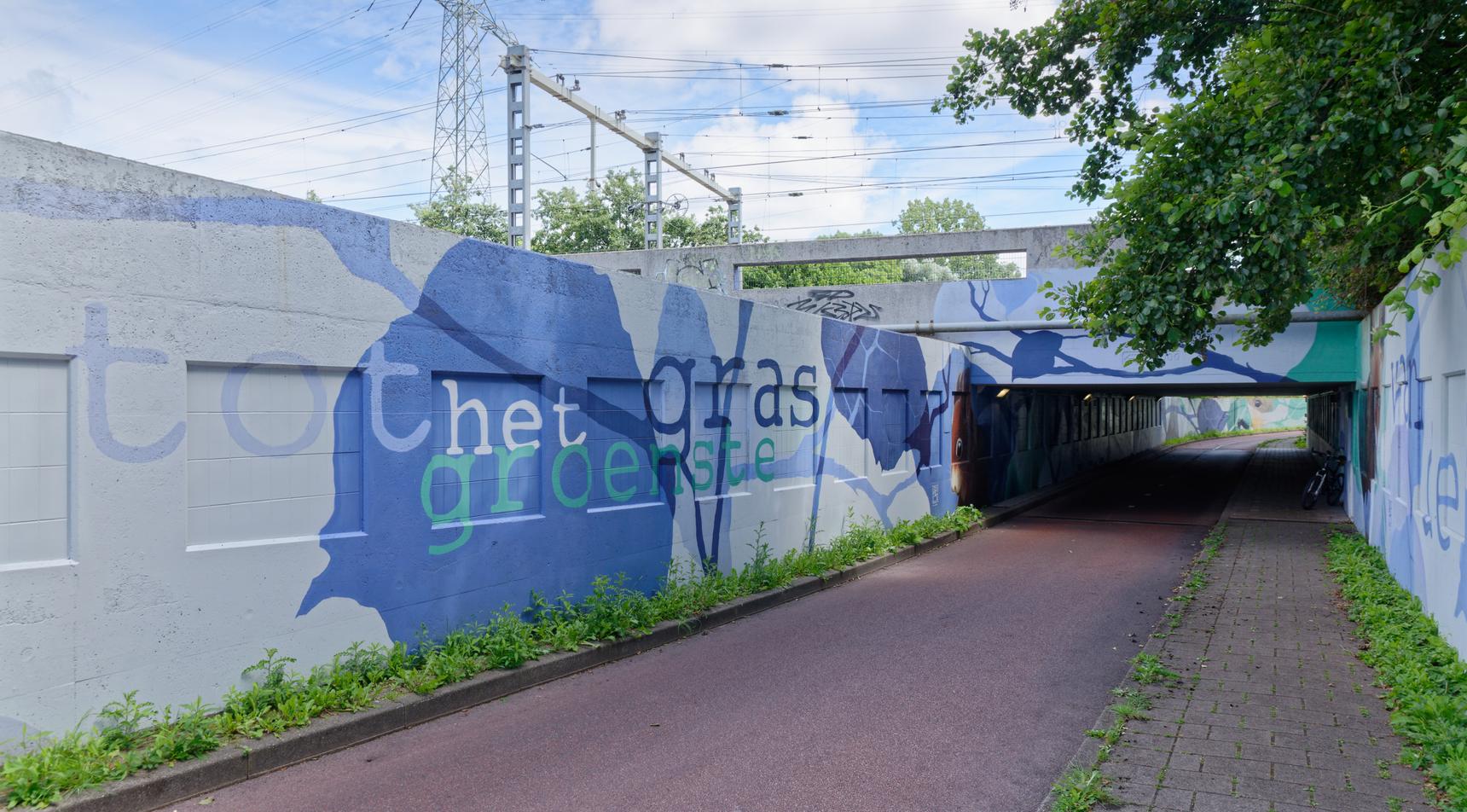 Marcus Debie (Gomad)—Van de zilte zee...tot het groenste gras