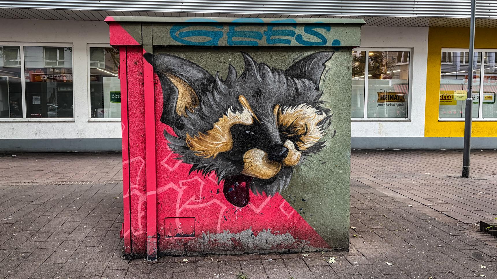 Svlech—Waschbären in der Stadt