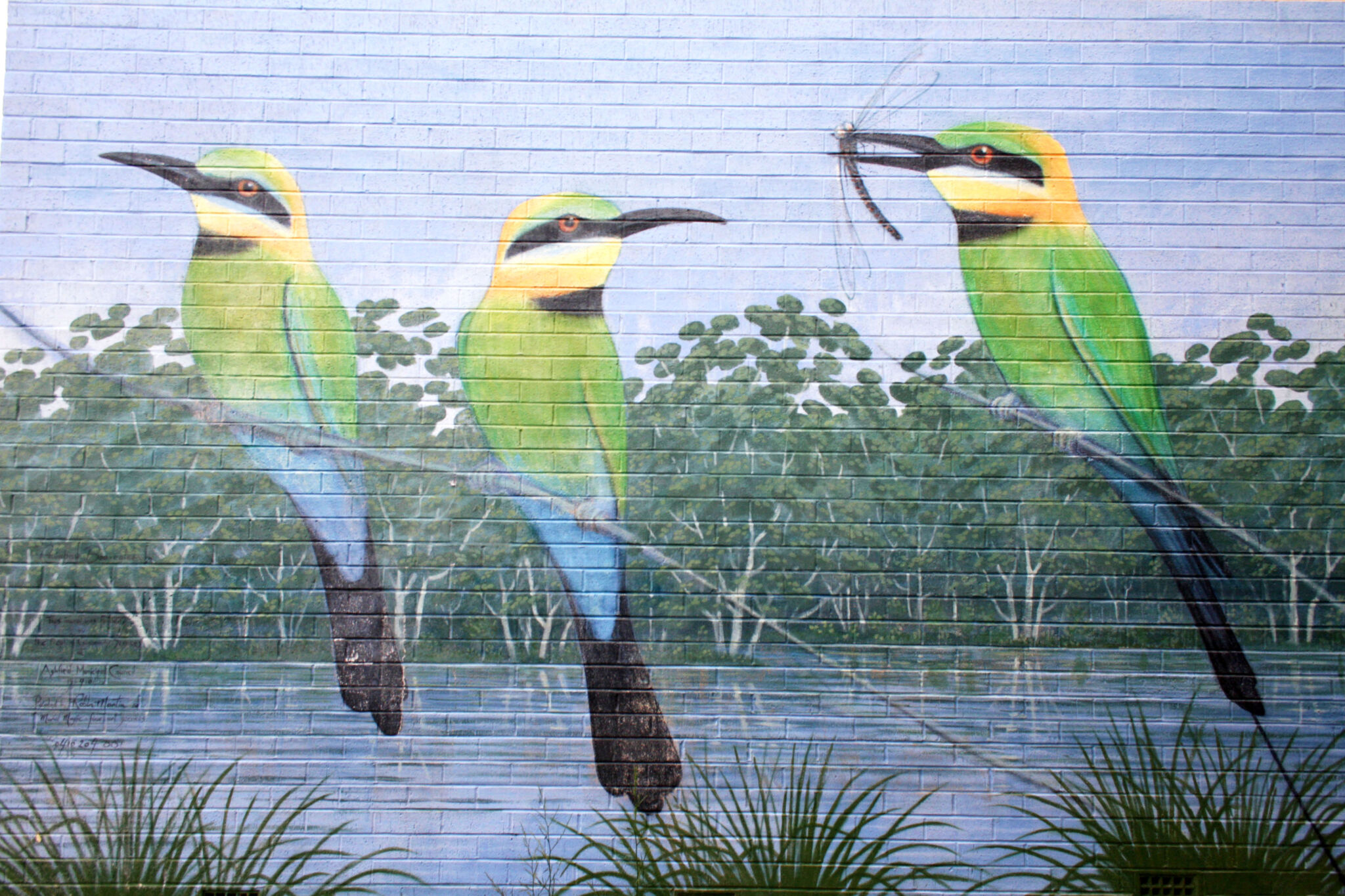 Robin Martin&mdash;Rainbow Bee-eater