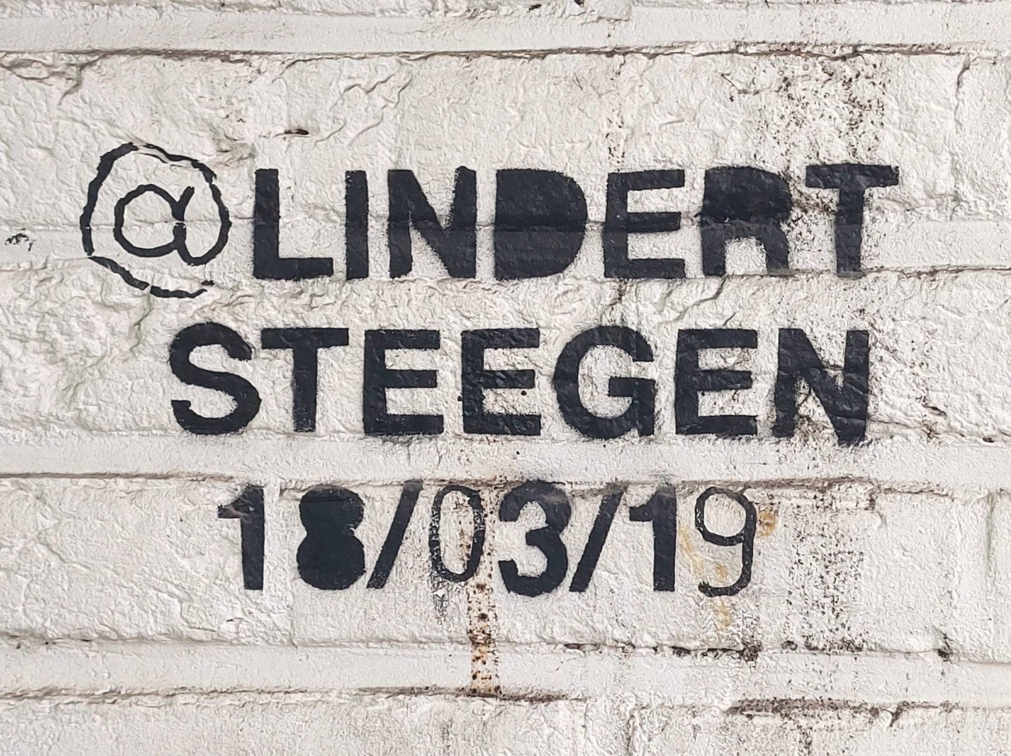 Lindert Steegen&mdash;Untitled