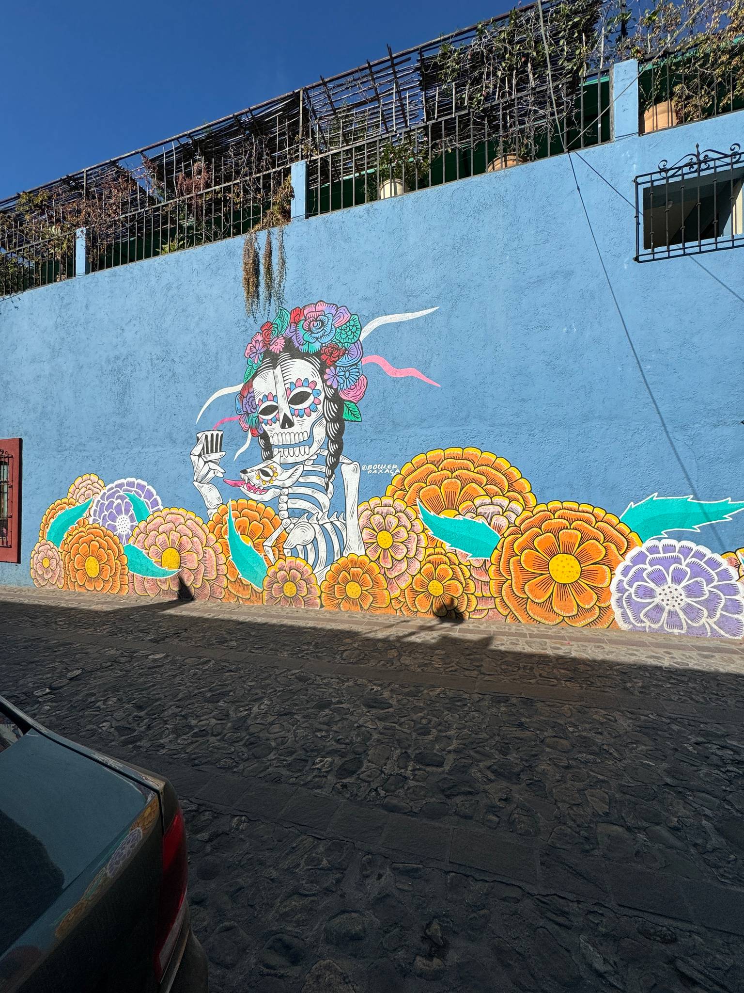 Bouler Oaxaca&mdash;Día de Muertos