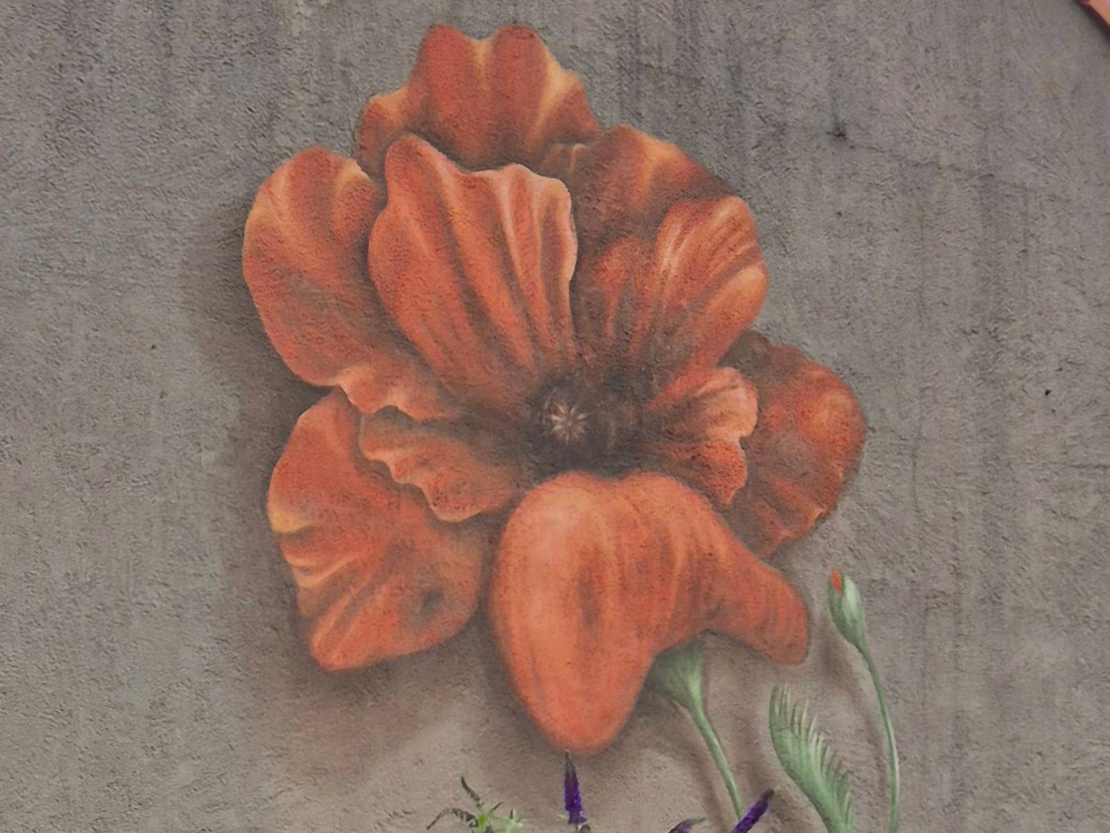 Lonneke van Zutphen—undefined