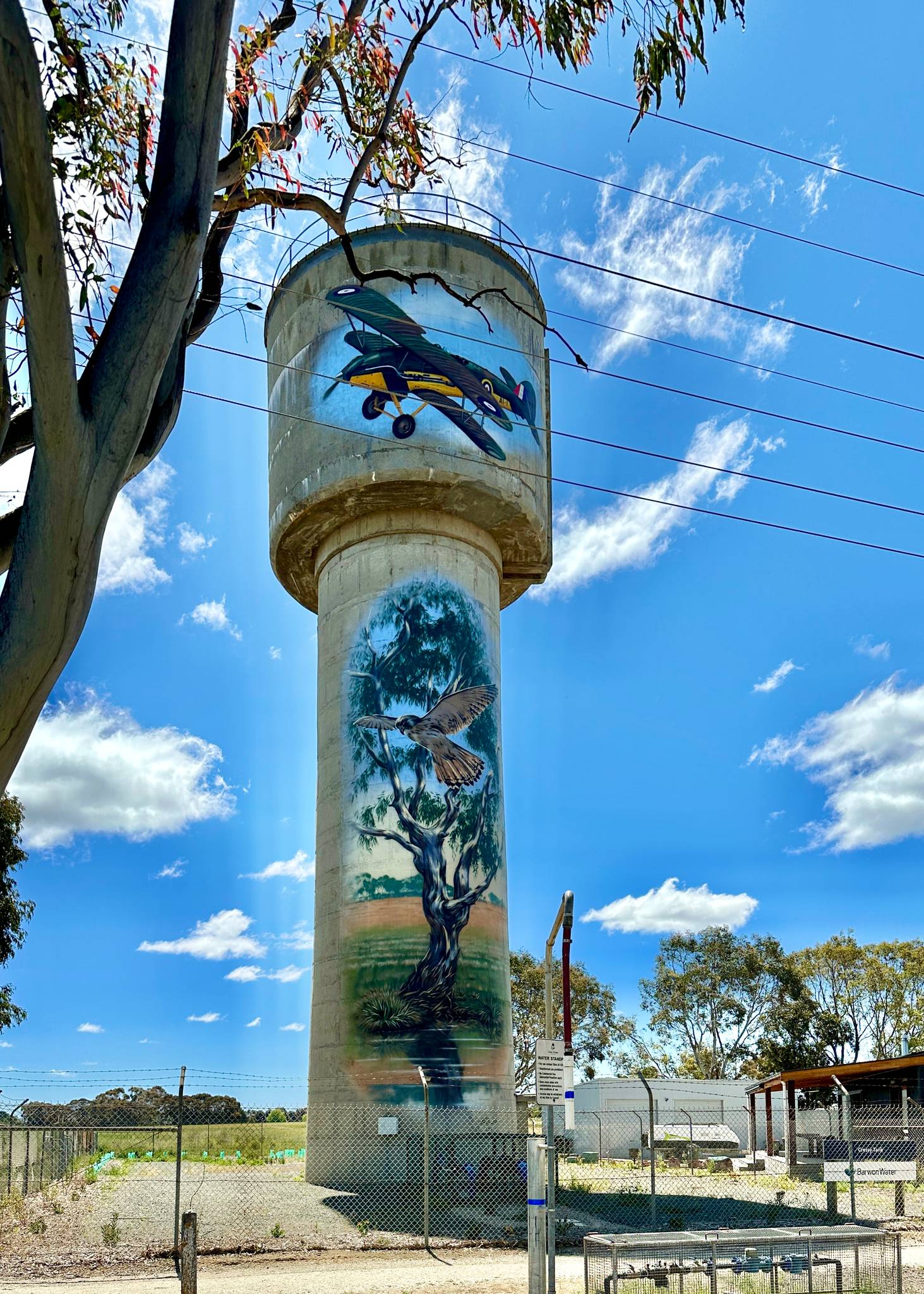 Tim Bowtell&mdash;Cressy Water Tower