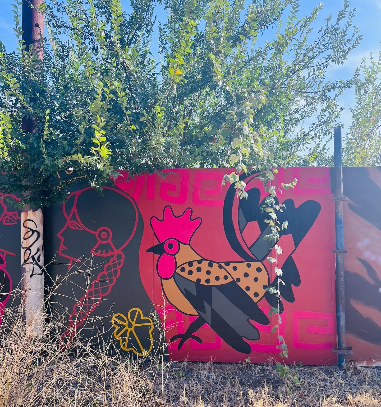 Chroma Collective—Plant Seeds