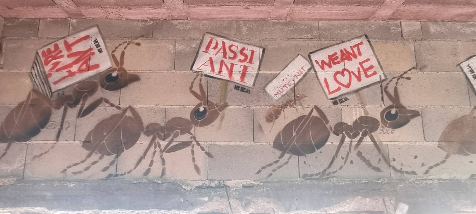 MS Béja—Milt'ant