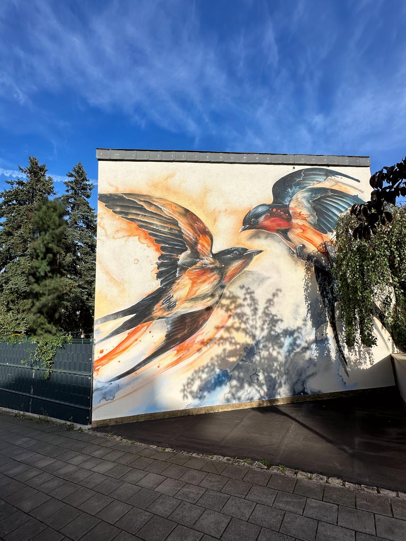 Daniel Mac Lloyd—SOAR