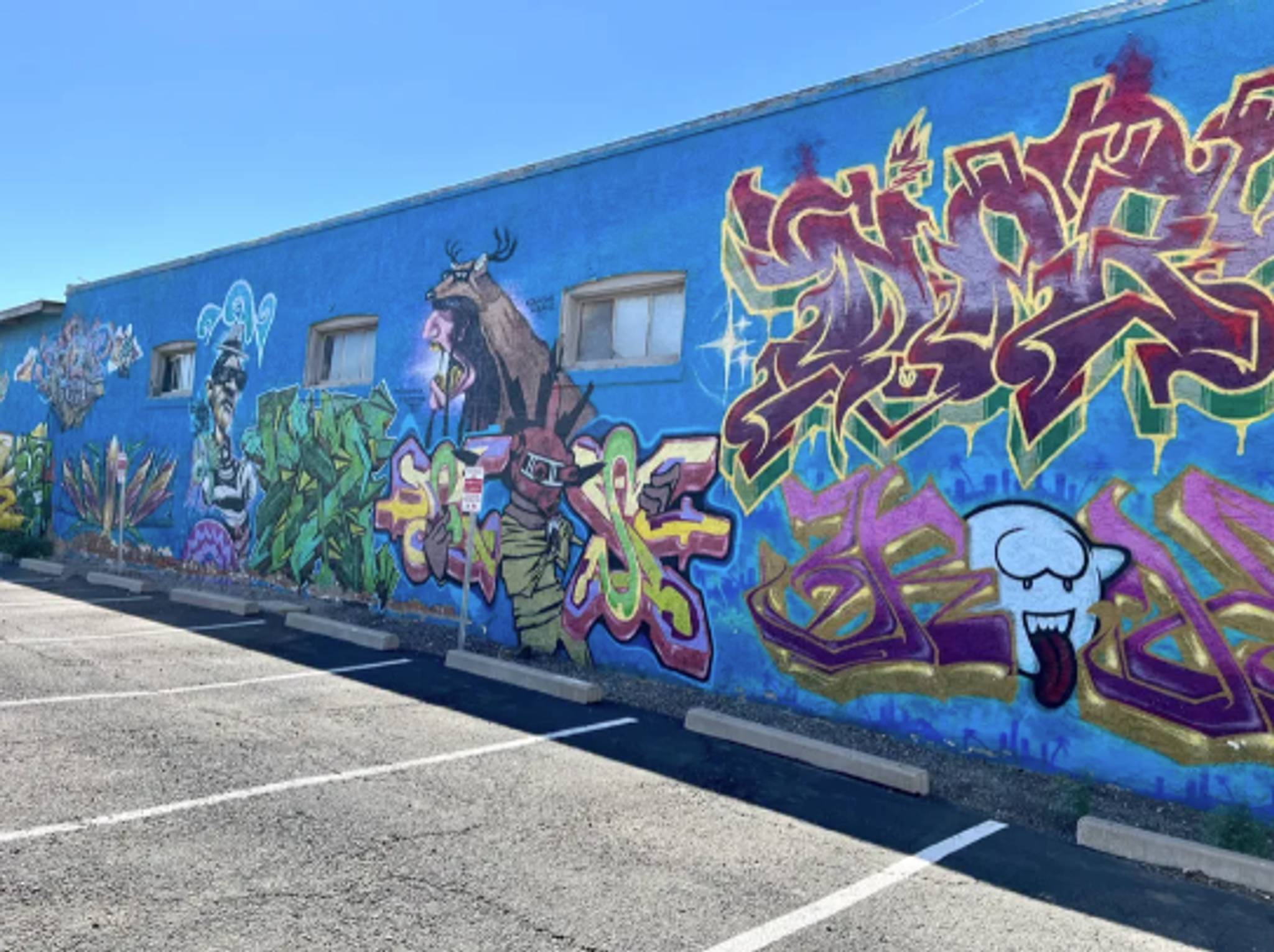 Unknown - Phoenix&mdash;Flex Society Mural