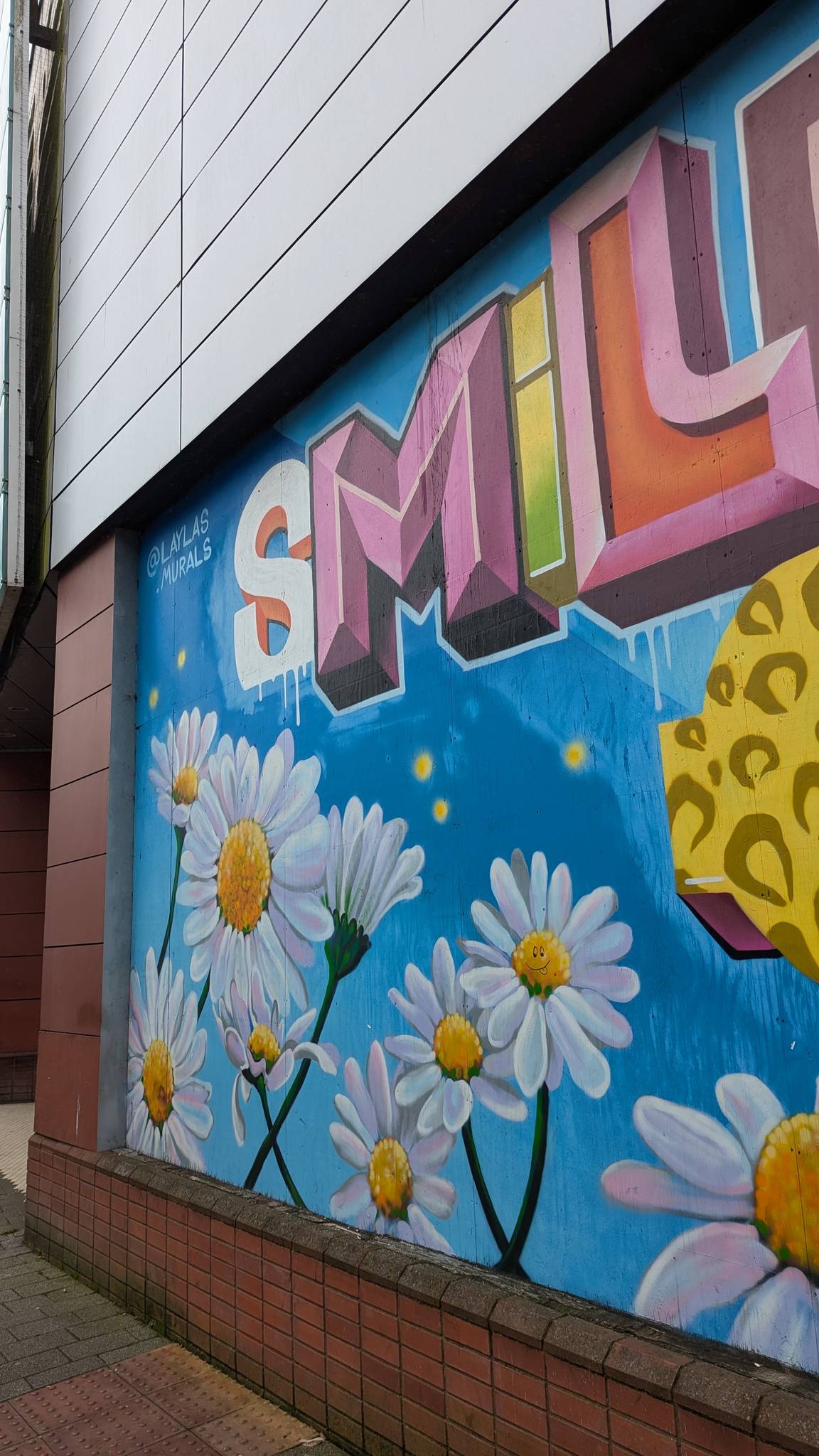 ROO, Laylas Murals, Skyhigh&mdash;Smile More Often