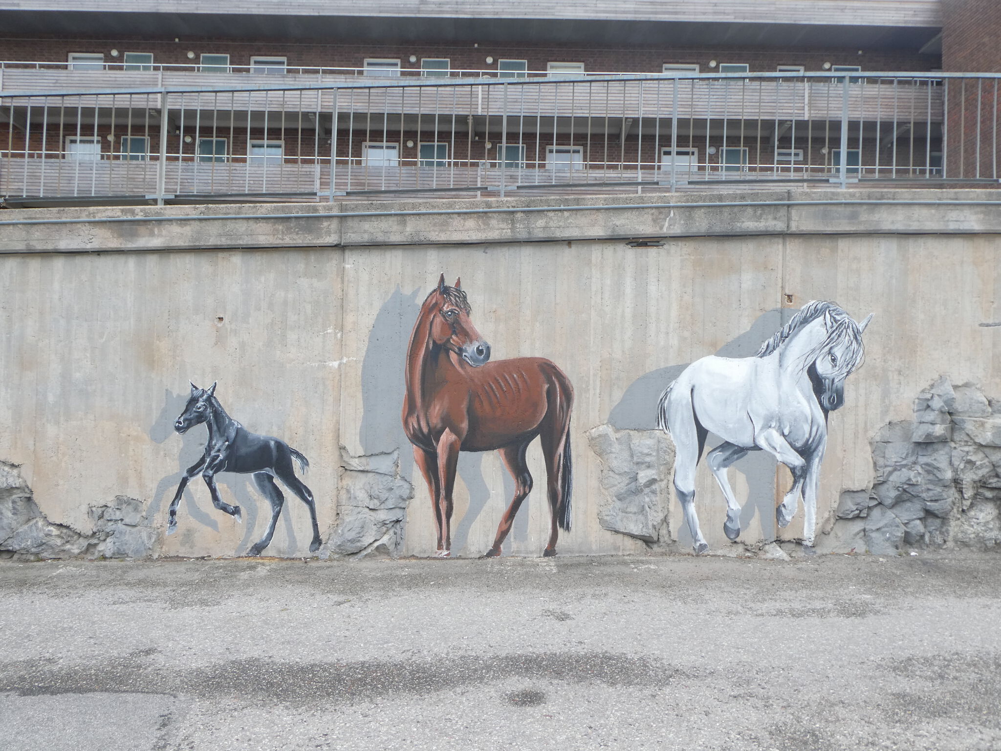 Shai Dahan&mdash;Horses