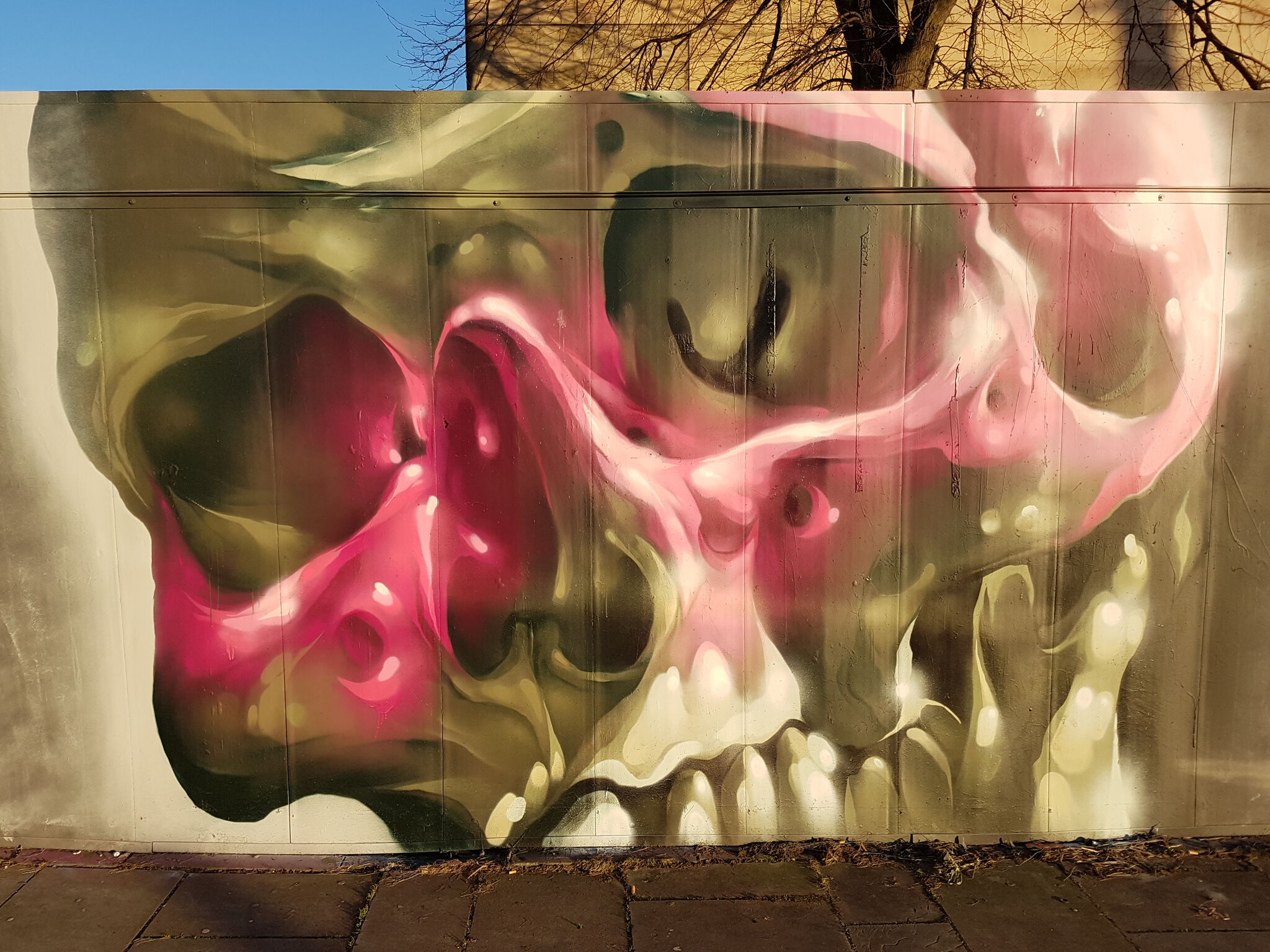 Rmer&mdash;Pink Skull