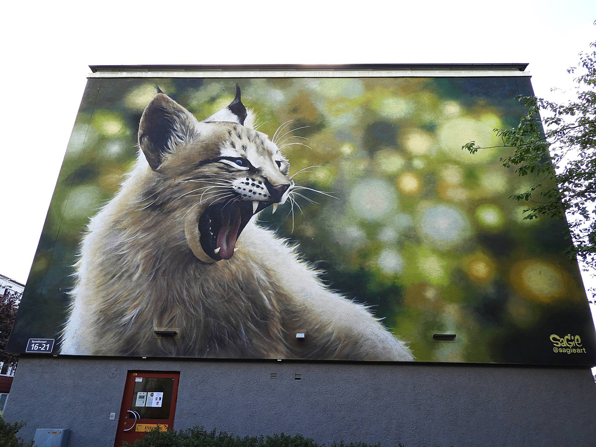 Sagie&mdash;Lynx