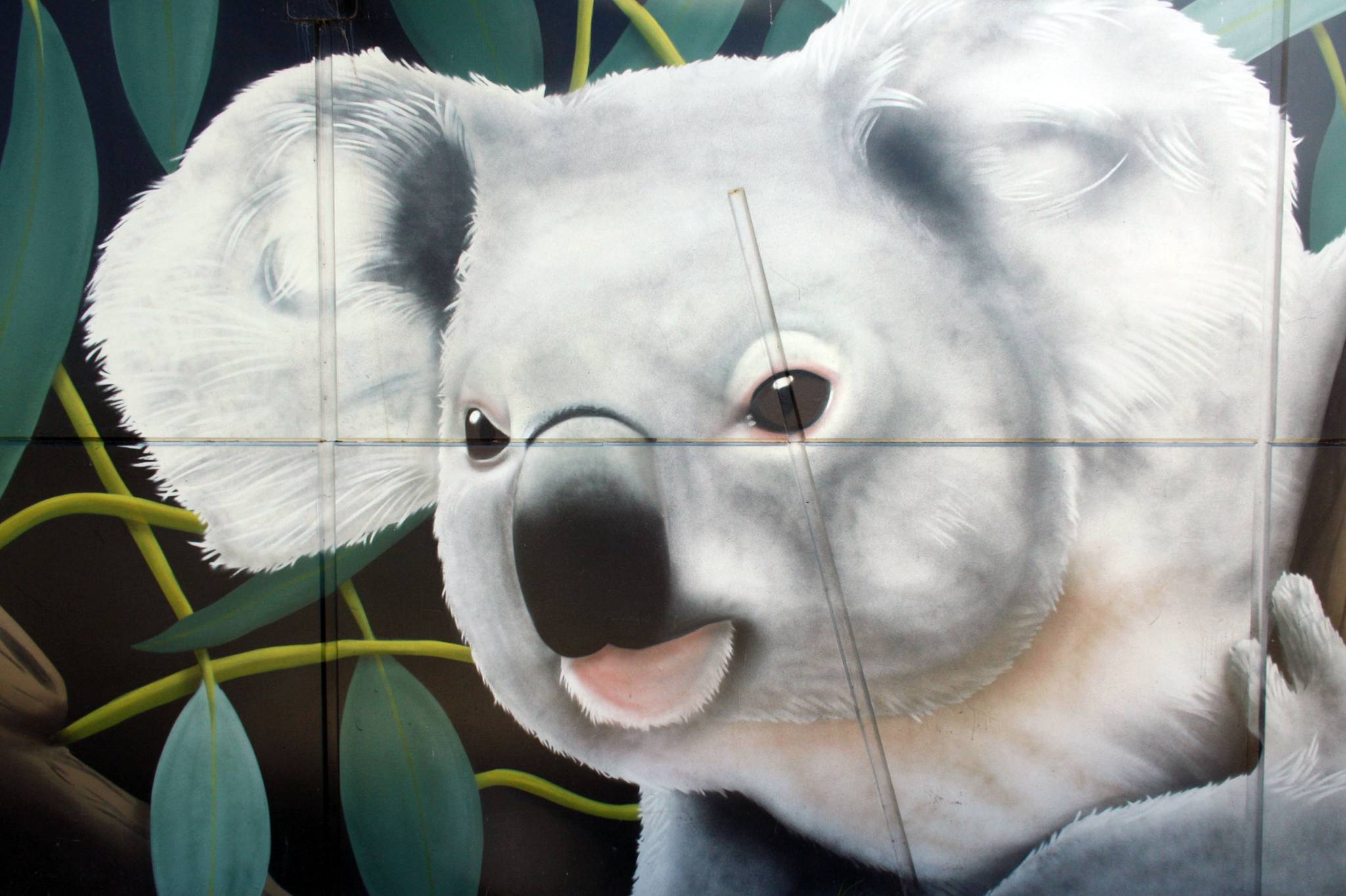 Urban Art Australia&mdash;Wildlife