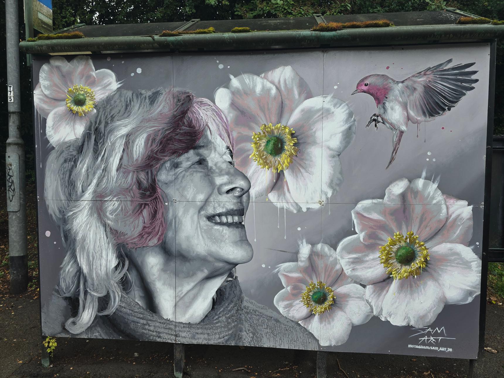 Sam Collins—Bus Shelter - Untitled