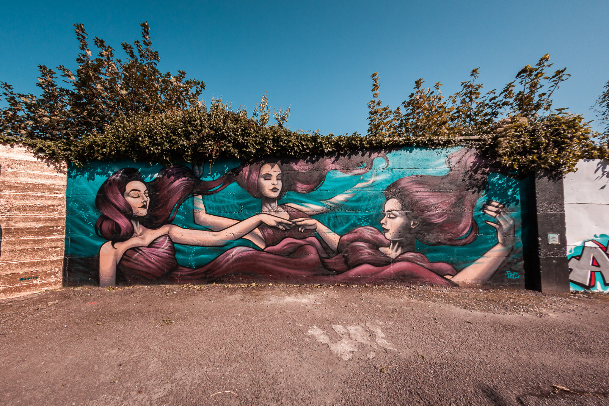 Friz&mdash;Waterford Walls 2019