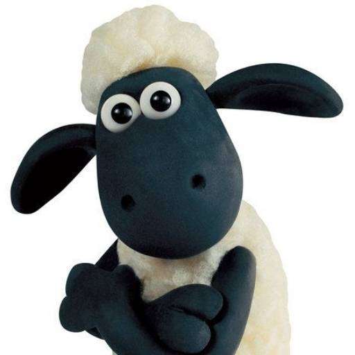 Sheep