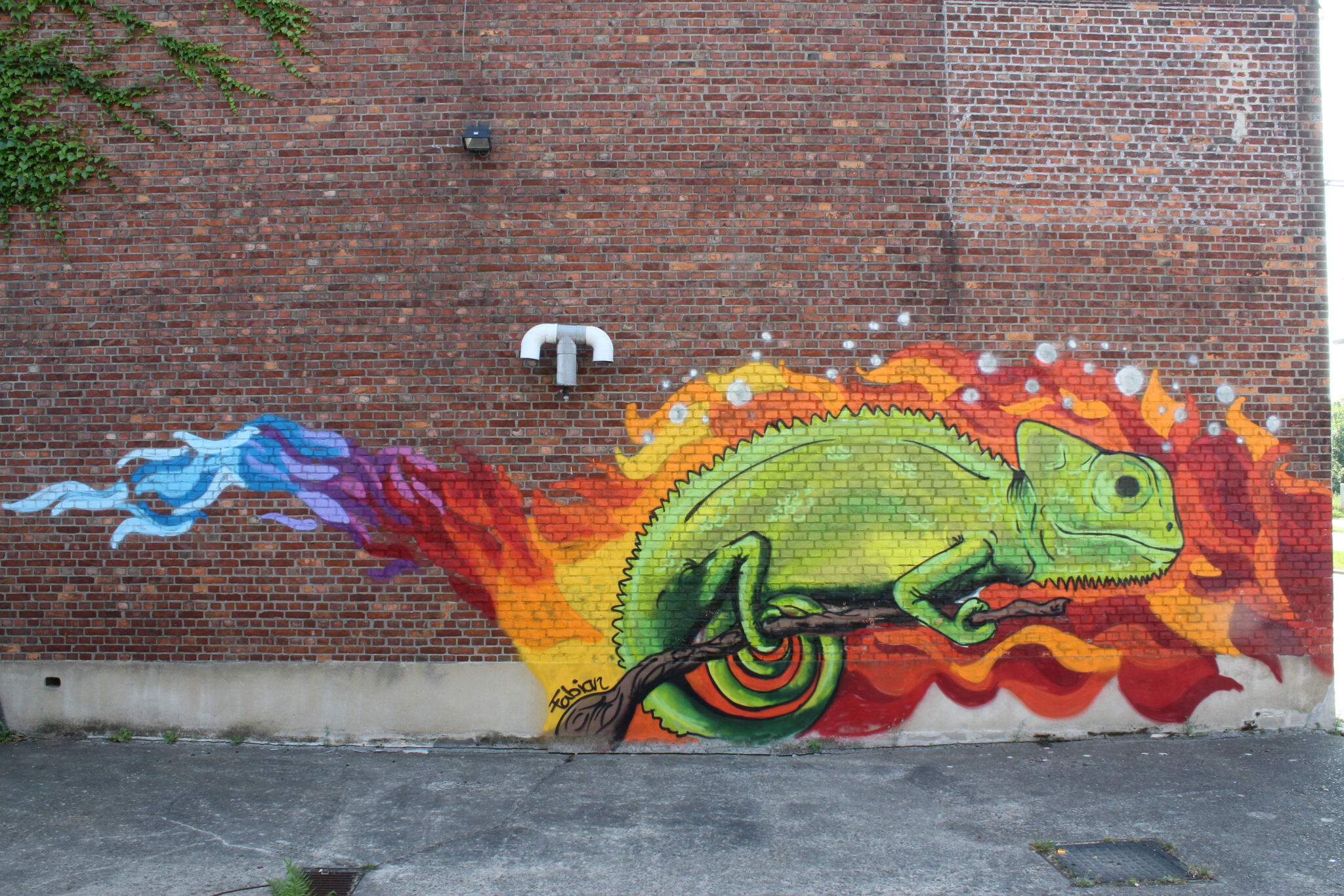 Unknown - Antwerp&mdash;Hagedis