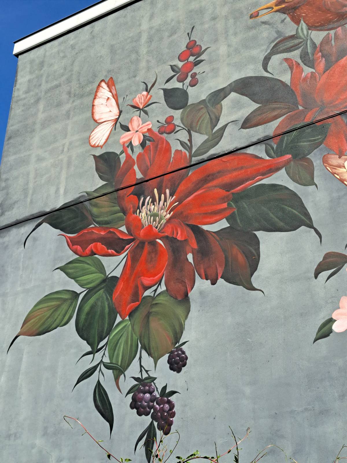 Roald van den Broek—Bloemen