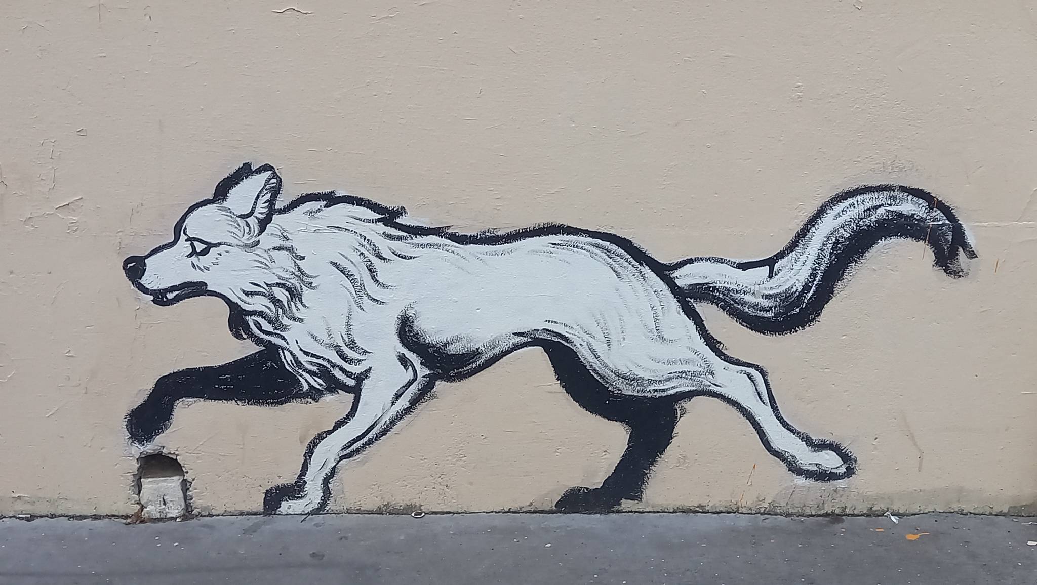 loup_y_es_tu&mdash;Les loups sont entrés dans Paris