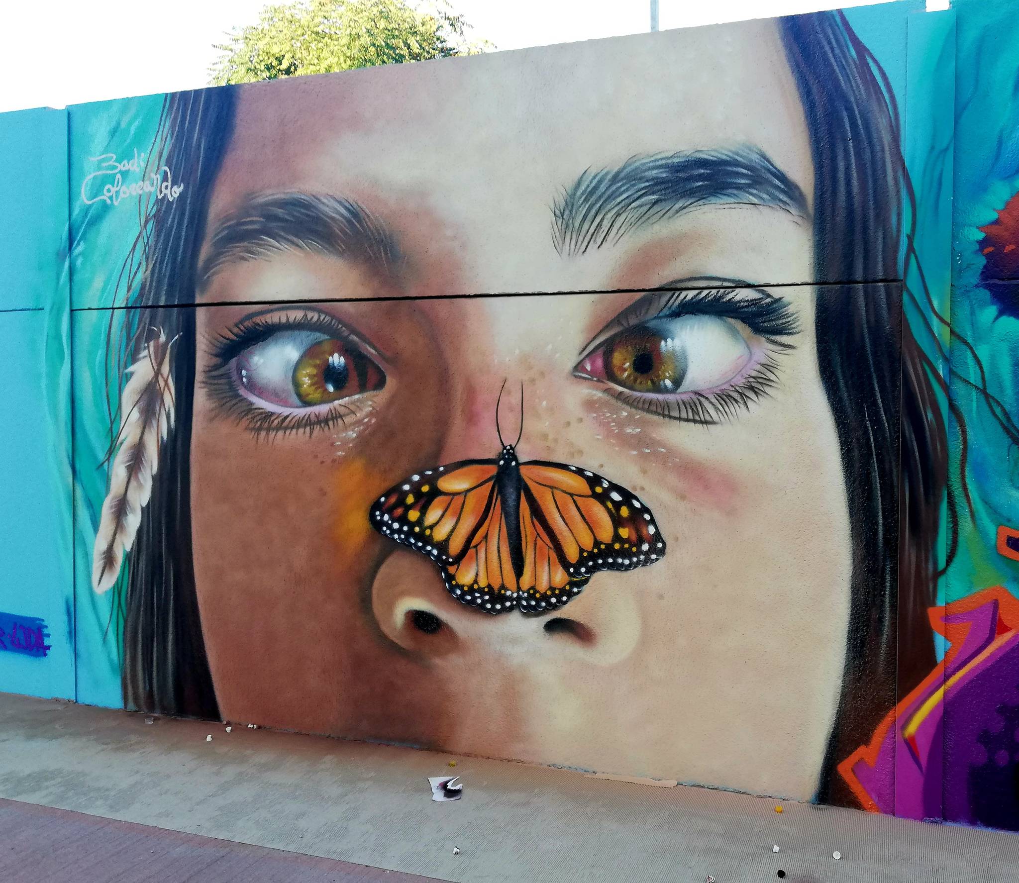 Badi Coloreando&mdash;Your butterfly effect / Tu efecto mariposa