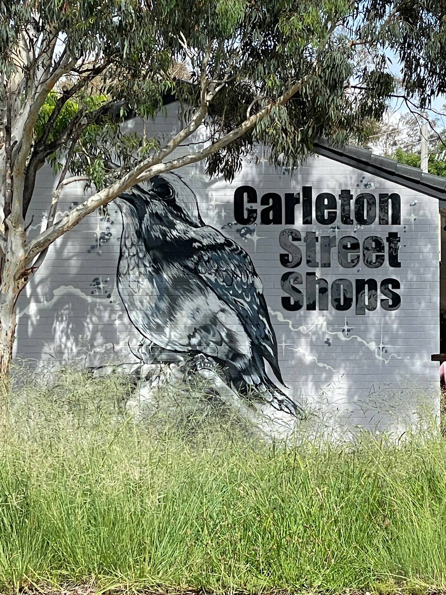 Smizdog&mdash;Carleton Street Shops Kookaburra