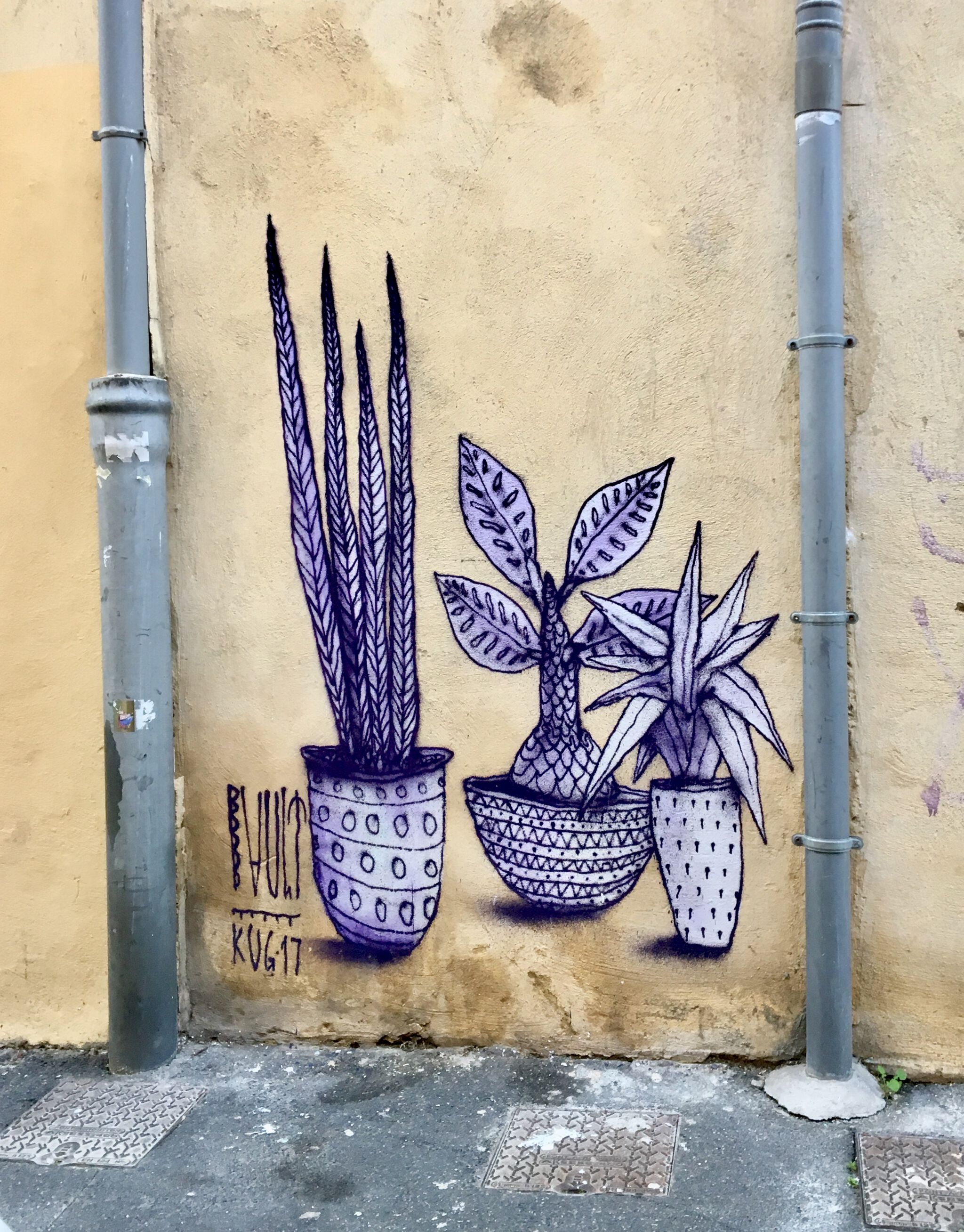 Bault&mdash;Plants-Rue de Tunis
