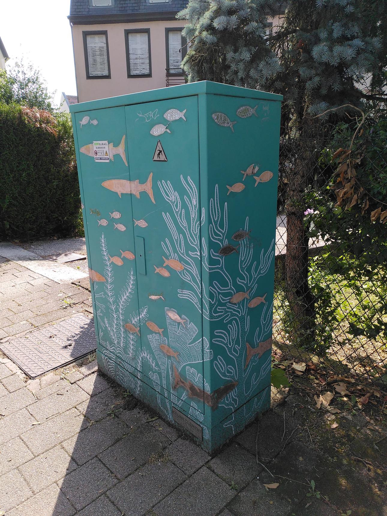 Celine Clement—River fish