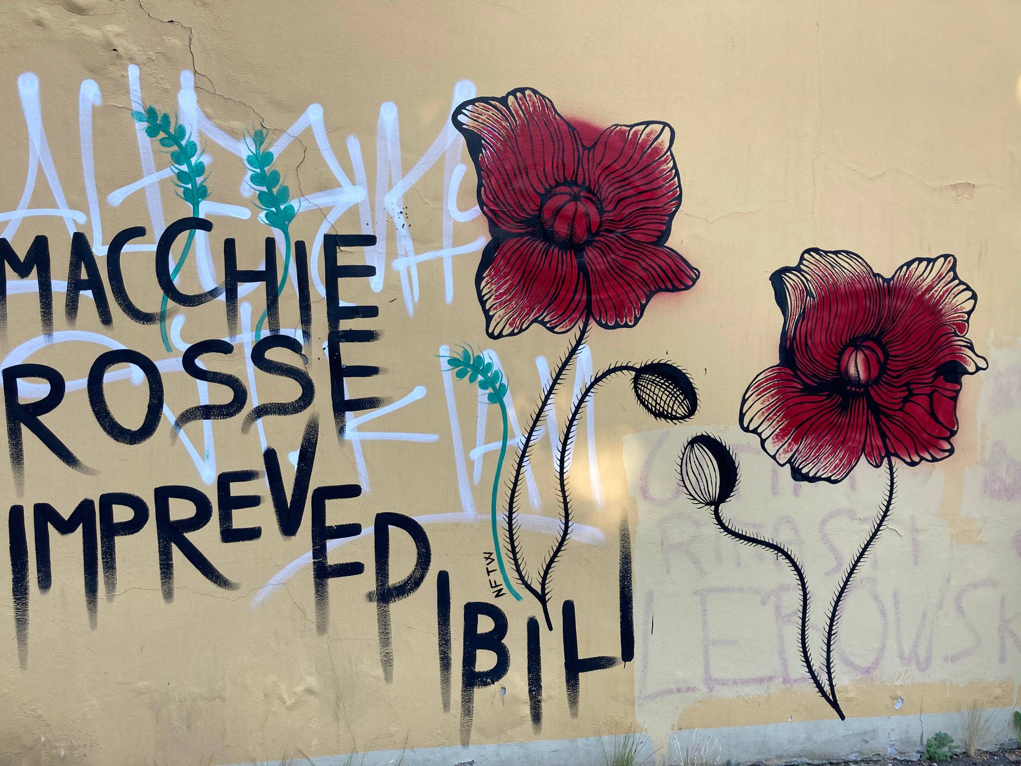 Unknown - Florence&mdash;Macchie rosse imprevedibili 