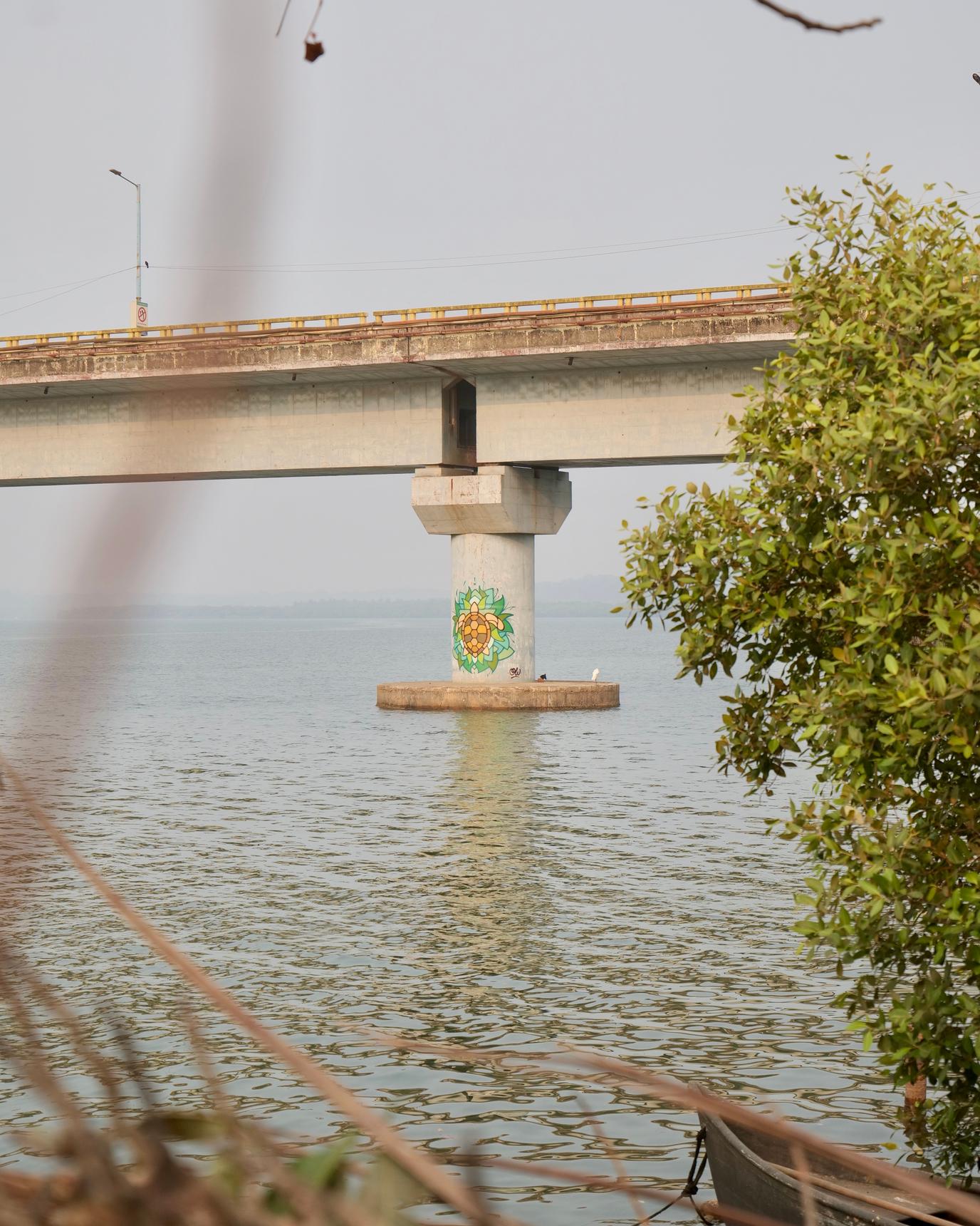 Wazow—Siolim Turtle