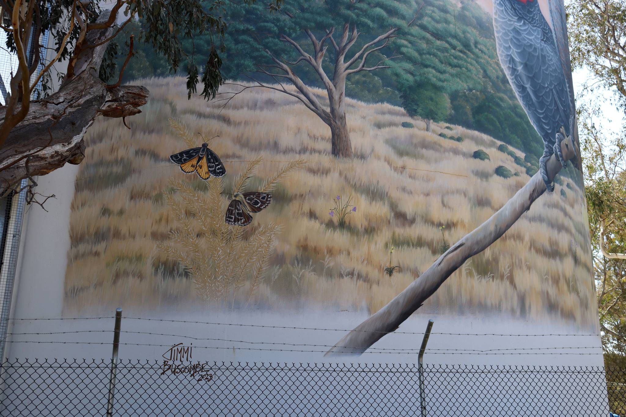 Jimmi Buscombe&mdash;Murrumbateman Water Tank