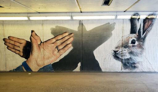 Shadow hand puppets