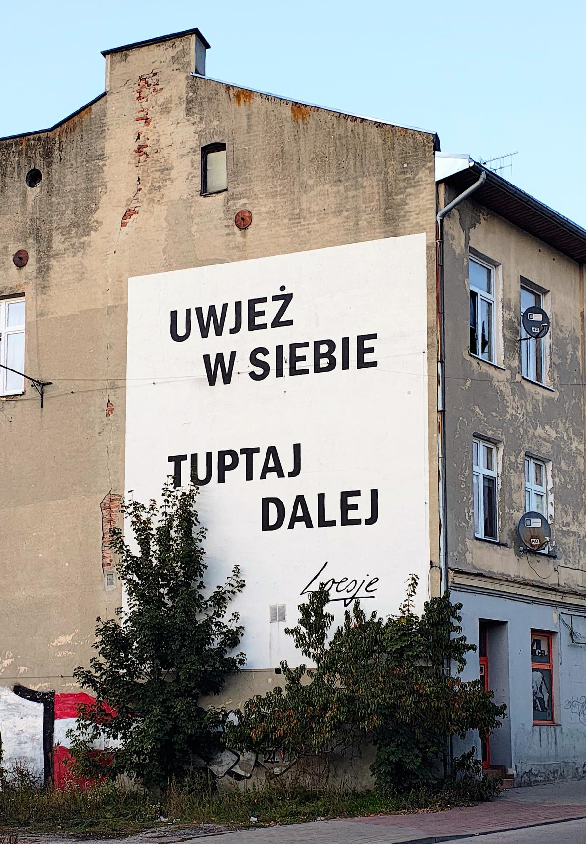 Loesje—Untitled