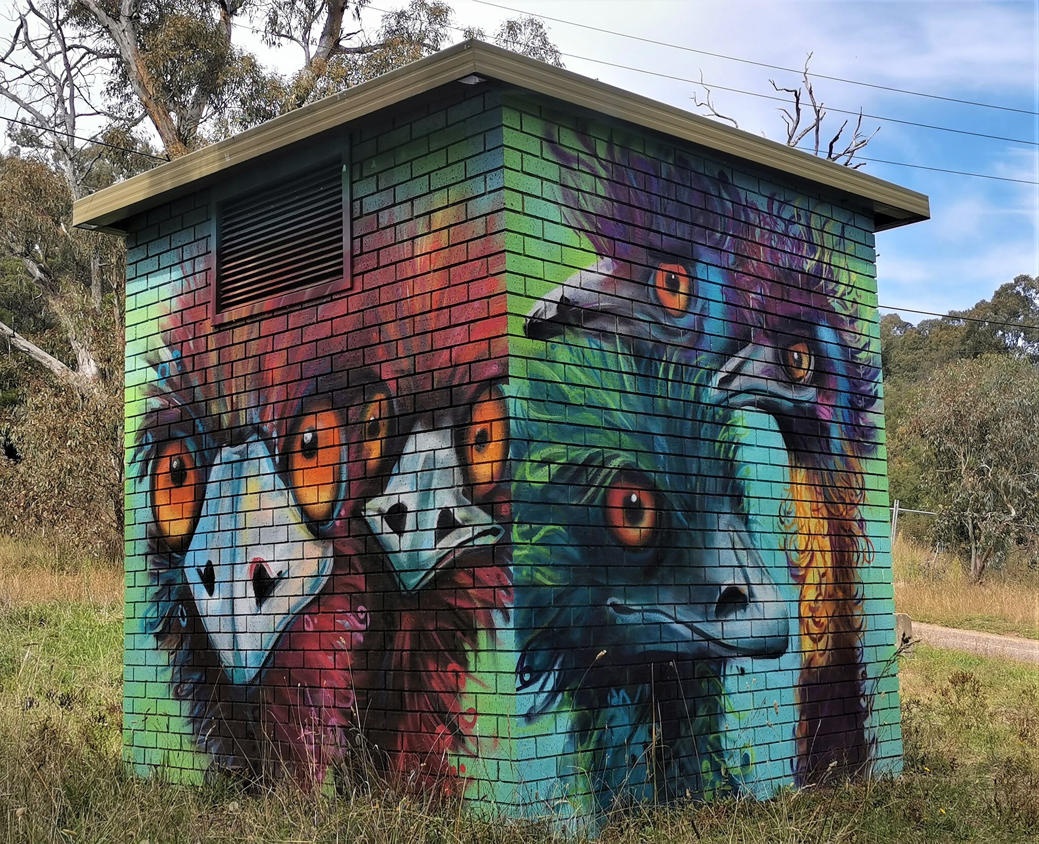 GraffikPaint, Leigh Walker&mdash;Emus
