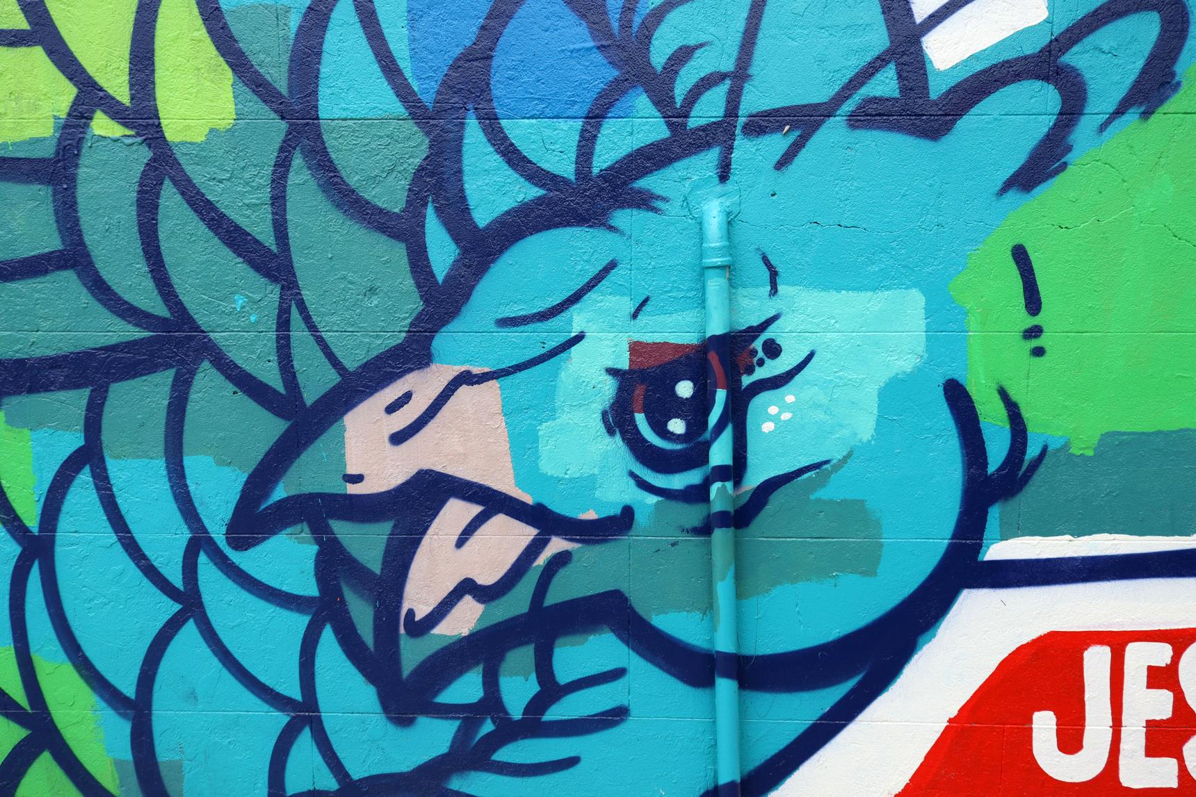 JESWRI—Fly, Peacock, Fly