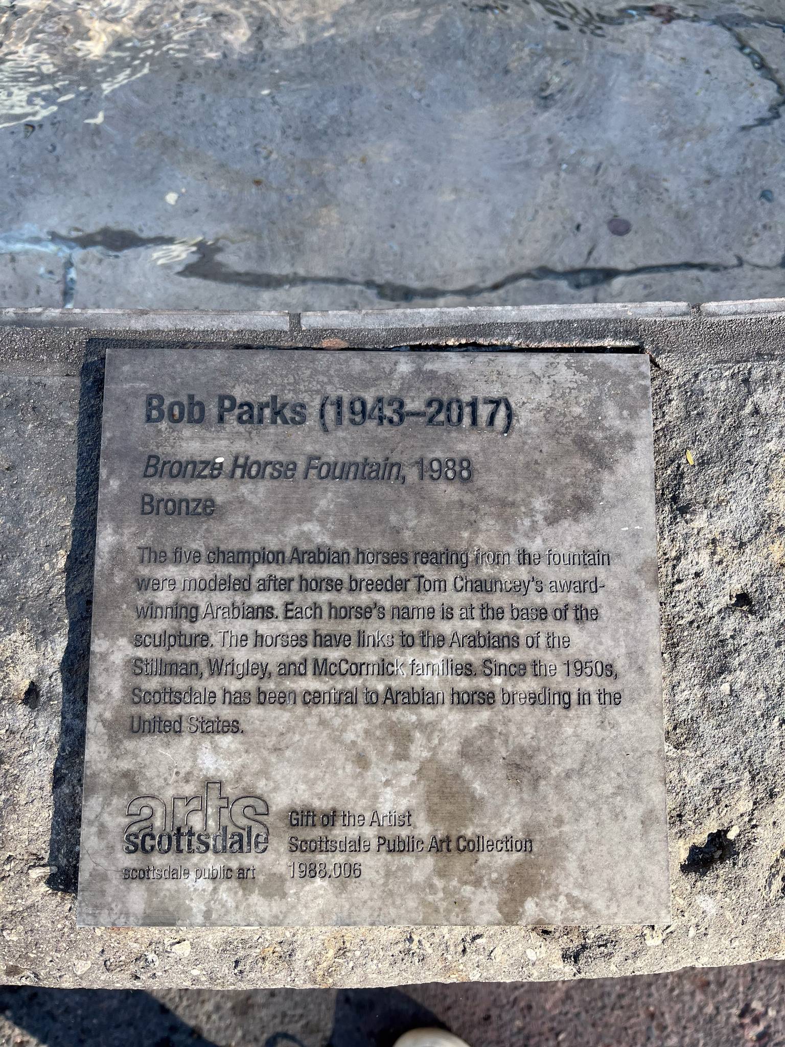 Bob Parks&mdash;Bronze Horse Fountain