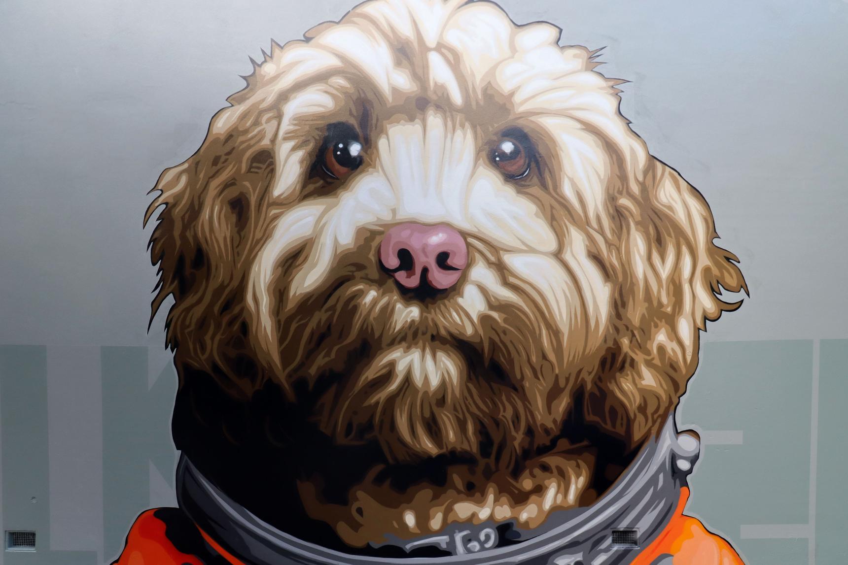 ELK—Dean the Cavoodle
