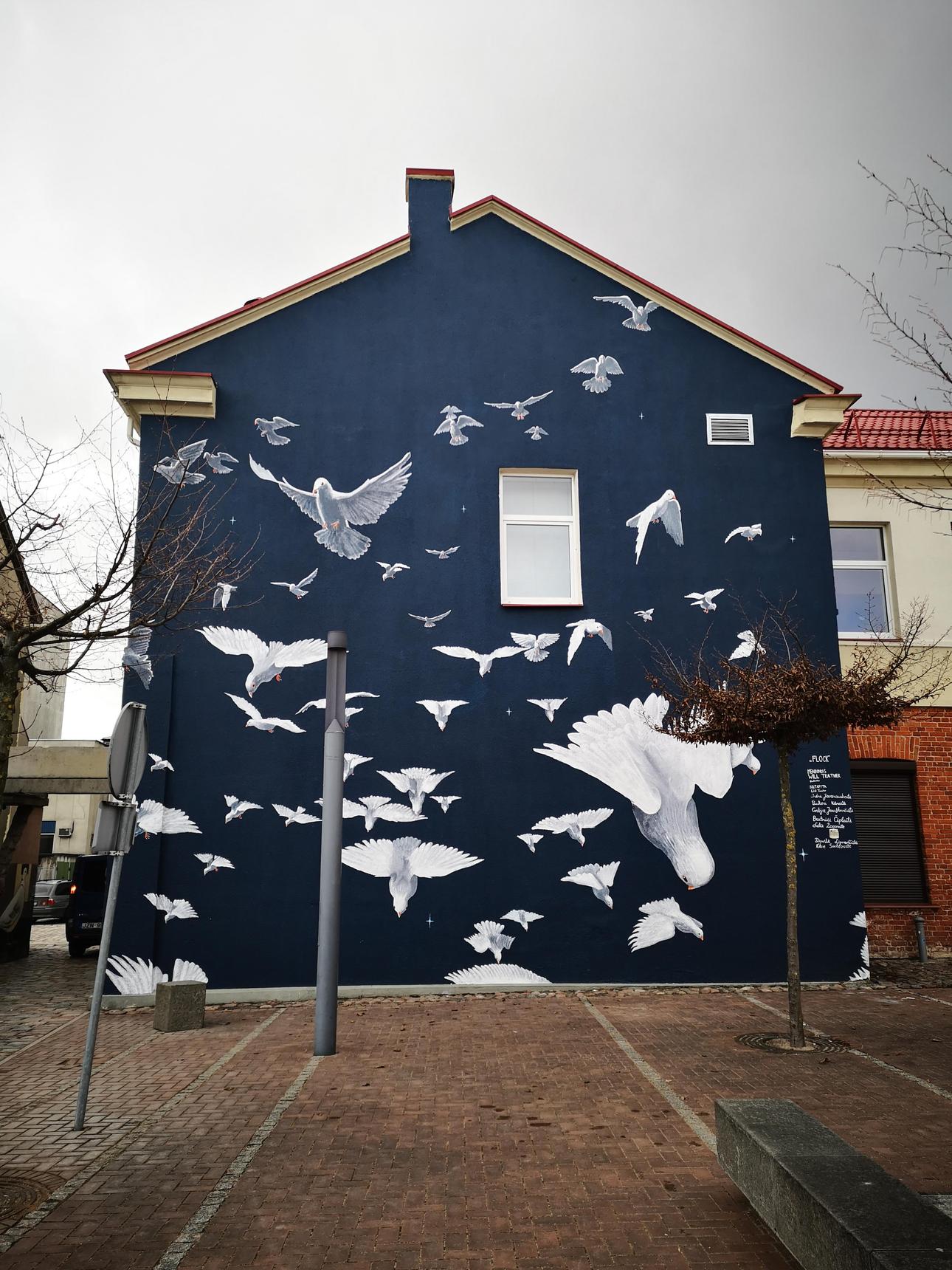 Will Teather—Flock of doves