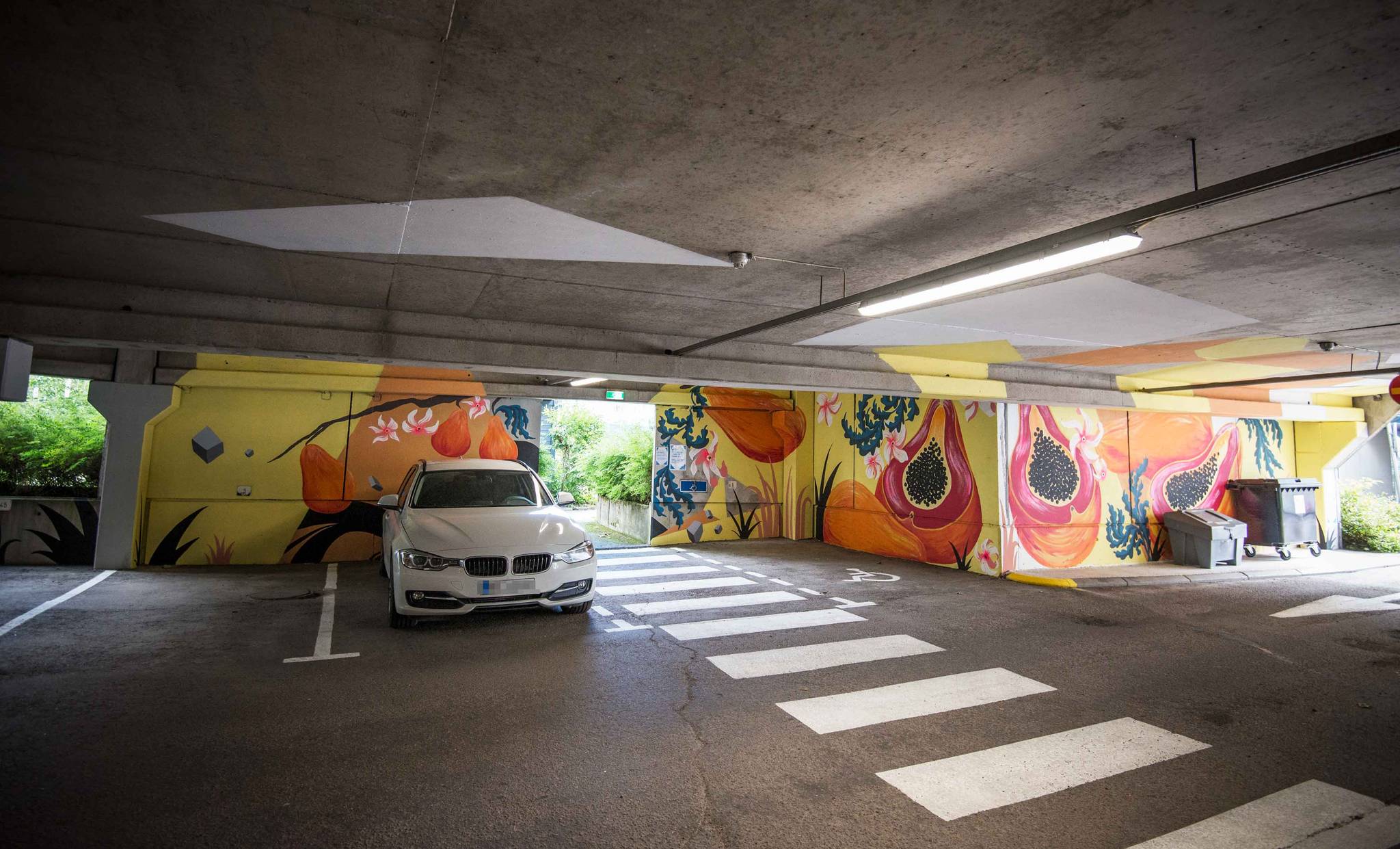 JESSE PASANEN, Maikki Rantala, Essi Ruuskanen, Street Art Vantaa&mdash;Paintings in Ruukkupark parking hall (2020)